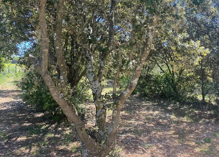 Maison En Pierre Σπίτι διακοπών